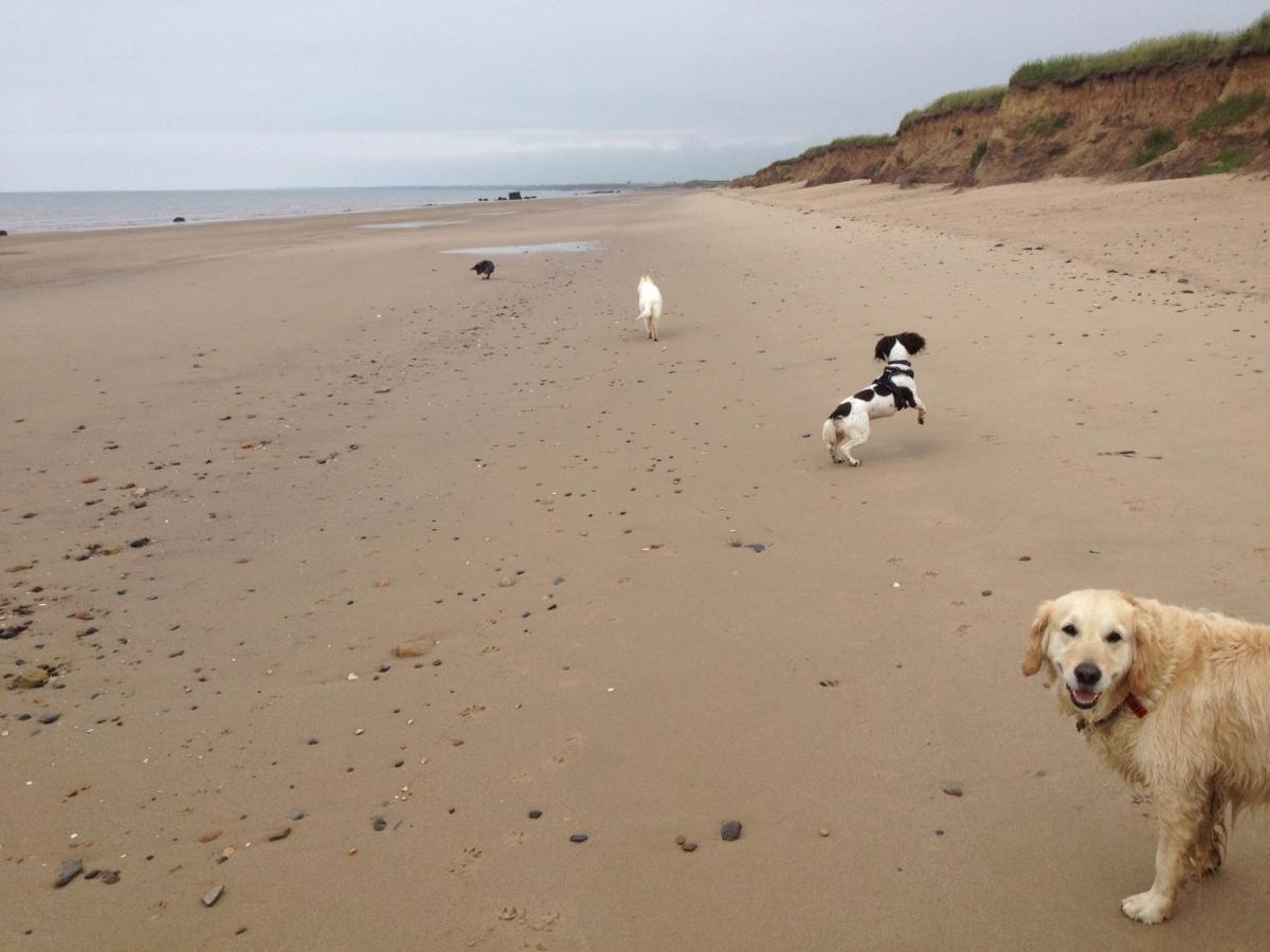 Luxury Dog Friendly Cottage Sleeps 4 Bridlington Exterior foto